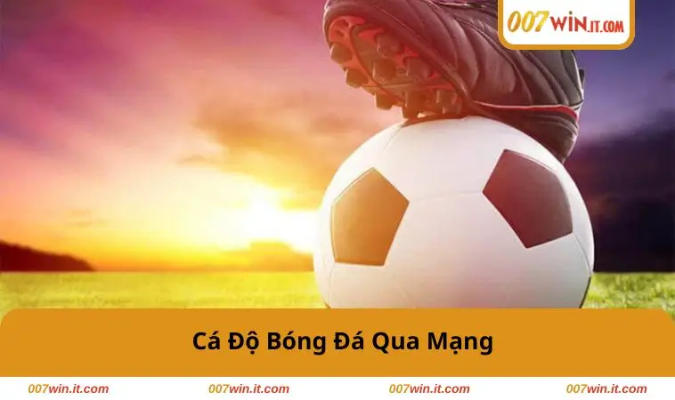 ca-do-bong-da-qua-mang