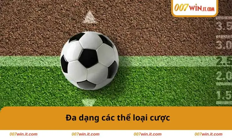 Cách Đọc Kèo Bóng Đá - Bí Quyết Phân Tích Kèo Dễ Thắng 1 Đa dạng các thể loại cược