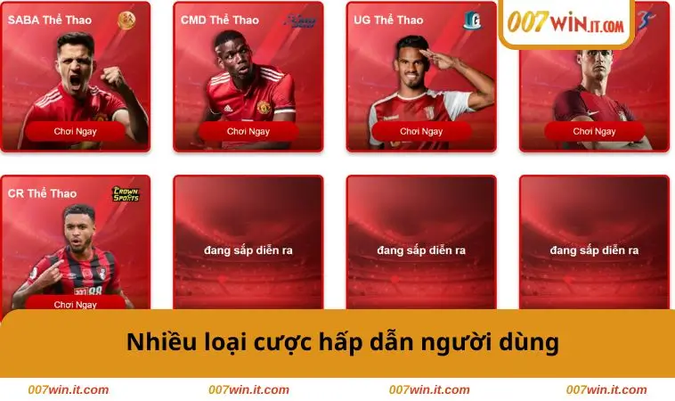 Nhiều loại cược hấp dẫn người dùng